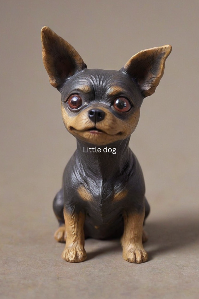 Little dog